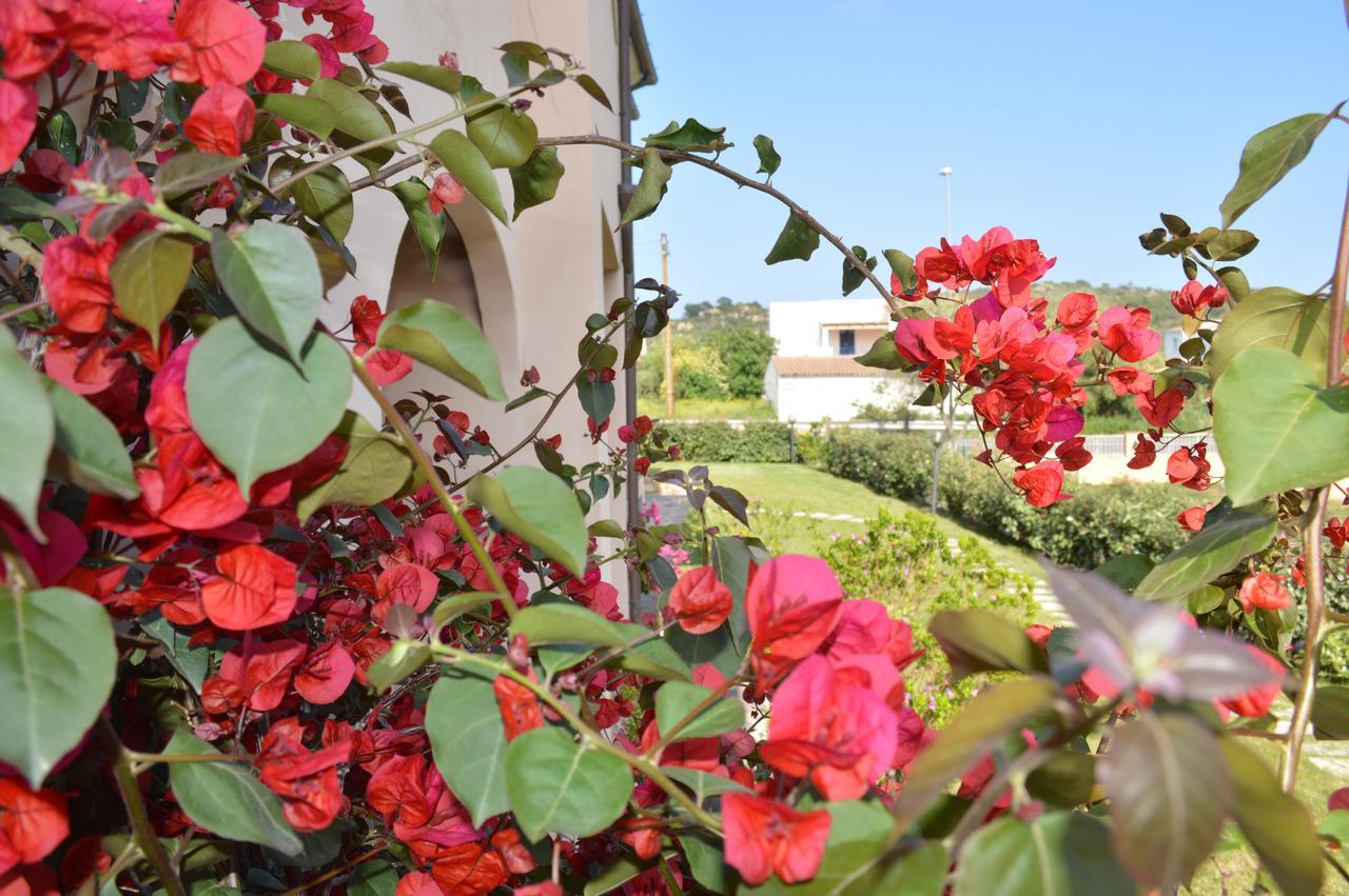 Guest * San Teodoro (Sardinia)