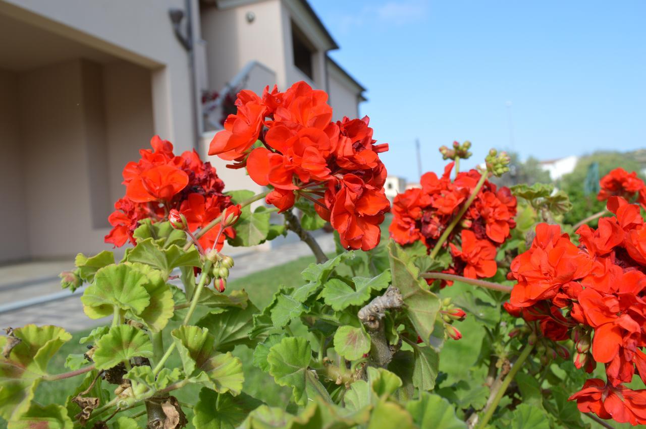 Guest Guest house San Teodoro (Sardinia)