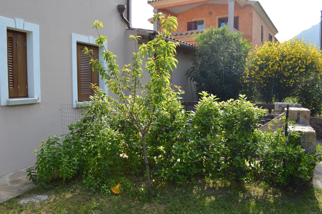 Guest Guest house San Teodoro (Sardinia)